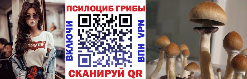 хочу   Берёзовка  маркетплейс состав  Псилоцибиновые грибы MAGIC MUSHROOMS 